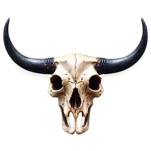 Bull Skull With Fire PNG 71