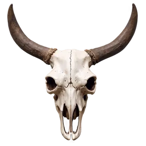 Bull Skull With Horns Png 06122024 PNG image