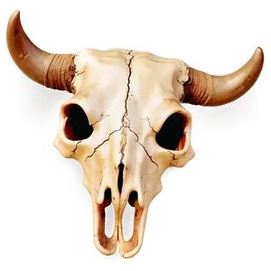 Bull Skull With Sunset Background Png 06122024 PNG image