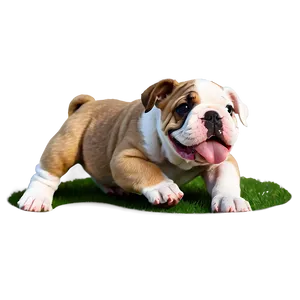 Bulldog Puppies Playing Png 06252024 PNG image