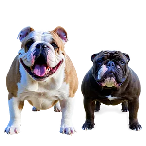 Bulldogs And Their Toys Png 74 PNG image