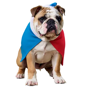 Bulldogs In Costume Party PNG 06252024 PNG
