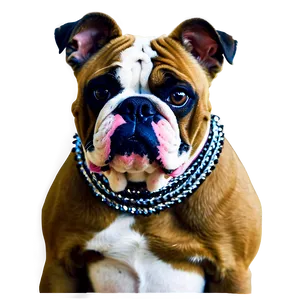 Bulldogs In Fancy Collars Png 27 PNG image