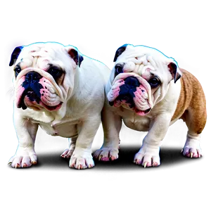 Bulldogs In The City PNG Lrq
