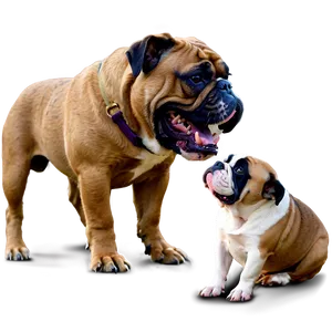 Bulldogs Meeting New Animals PNG 44 PNG