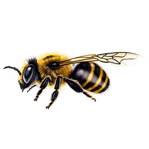 Bumblebee Flying Side View PNG 53 PNG