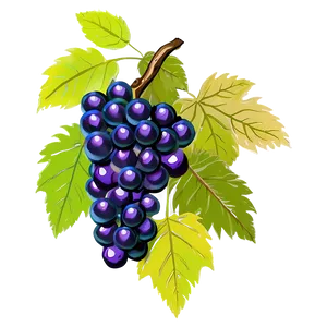 Bunch Of Grapes PNG 05212024
