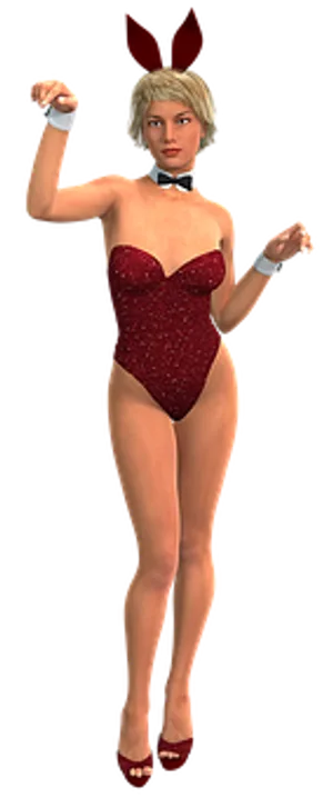 Bunny Costume3 D Model