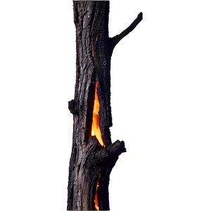 Burnt Tree Trunk PNG Qmg74