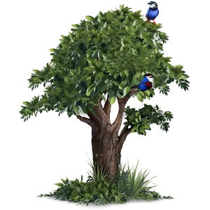 Bush With Birds PNG Mma