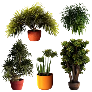 Bushy Plants PNG Dlm16