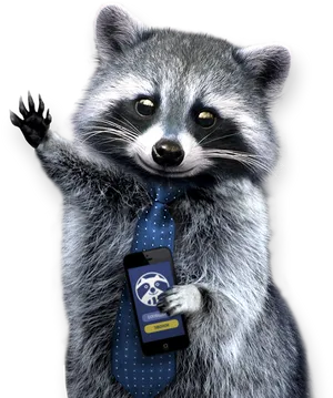 Business Raccoonwith Smartphone PNG image