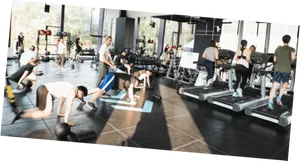 Busy Gym Session Fitness Workout