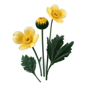 Buttercup Background PNG 57
