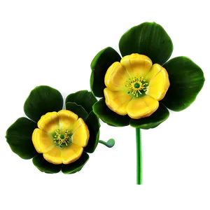 Buttercup Blossom PNG 06252024