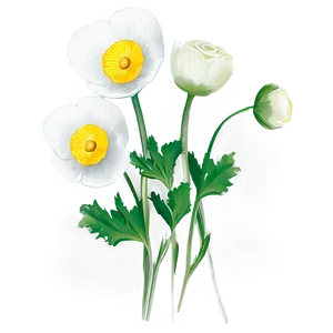 Buttercup Bouquet PNG Gin