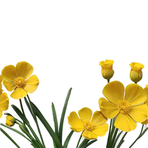 Buttercup Cluster PNG 14