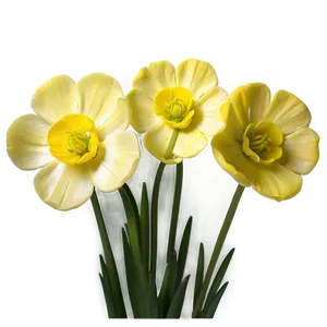 Buttercup Cluster PNG 30