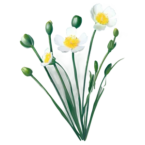 Buttercup Cluster PNG 92