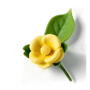 Buttercup Essence Png Ial91 PNG image