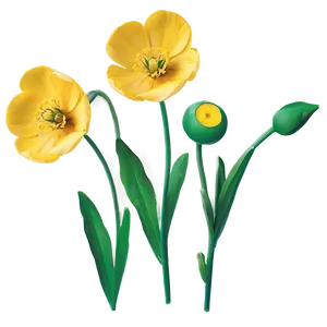 Buttercup Flower PNG Duk