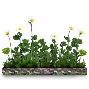 Buttercup Garden PNG 06252024