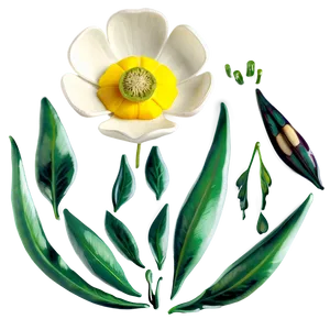 Buttercup Harmony PNG Tki39 PNG