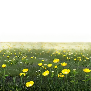 Buttercup Meadow Scene Png 06252024 PNG image