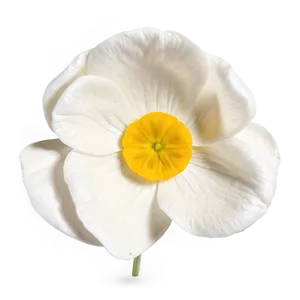 Buttercup Petal Closeup Png 46 PNG image