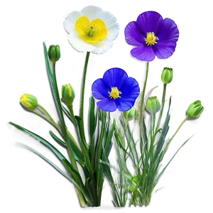 Buttercup Splendor PNG 77