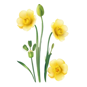 Buttercup Vector Png 88 PNG image