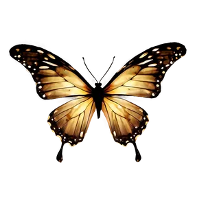 Butterfly And Stars PNG 64