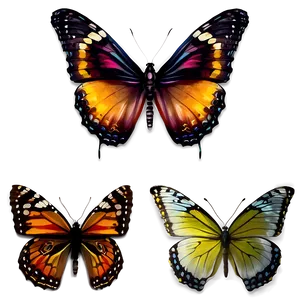 Butterfly Backgrounds Png 21 PNG image