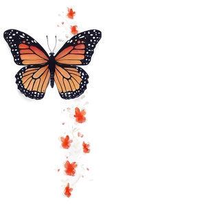 Butterfly Borders Png 05232024 PNG image