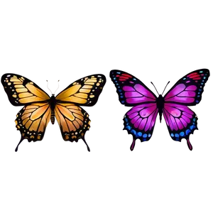 Butterfly Borders Png Bjd PNG image