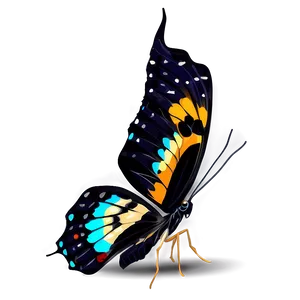 Butterfly Clipart PNG 05232024