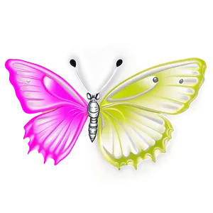 Butterfly Coloring Page PNG 68 PNG