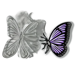 Butterfly Coloring Page PNG Inn PNG