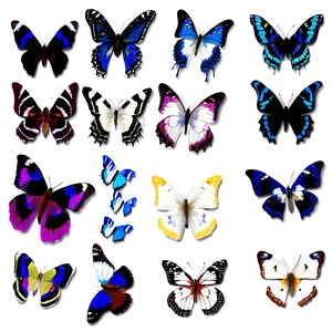 Butterfly Flock Swarm Png Ggh PNG image