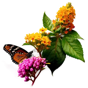 Butterfly Haven Bush Png 9 PNG image