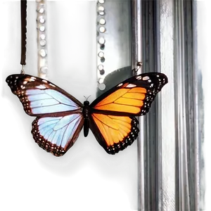 Butterfly In Glass PNG 93