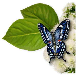 Butterfly In Nature PNG 49 PNG