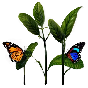 Butterfly In Nature Png 76 PNG image