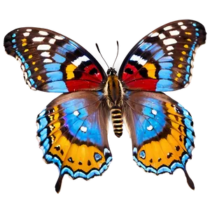 Butterfly In The Wild PNG 97 PNG