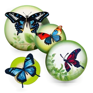 Butterfly Life Cycle PNG 06262024 PNG