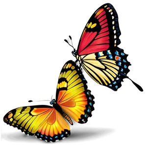 Butterfly Metamorphosis PNG 04292024