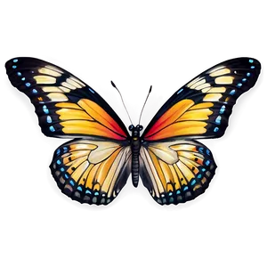 Butterfly Mirage PNG Sgl