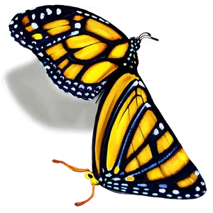 Butterfly Natural Beauty Png 60 PNG image