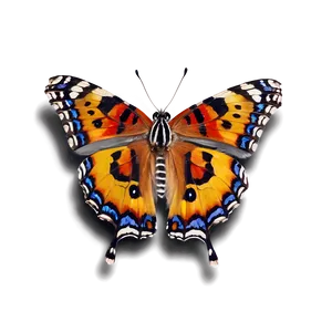 Butterfly Natural Beauty PNG Rlr PNG