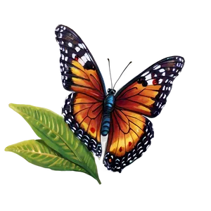 Butterfly Oasis PNG 19